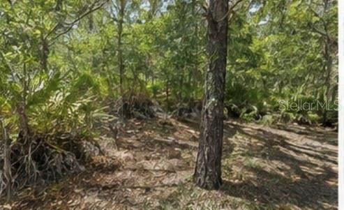 En Venta: $13,000 (0.24 acres)