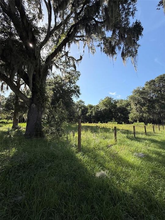 For Sale: $200,000 (5.00 acres)