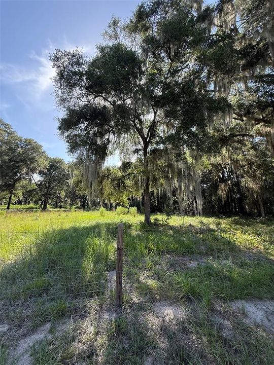 For Sale: $200,000 (5.00 acres)