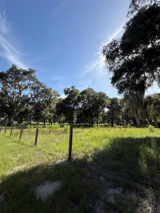 For Sale: $200,000 (5.00 acres)