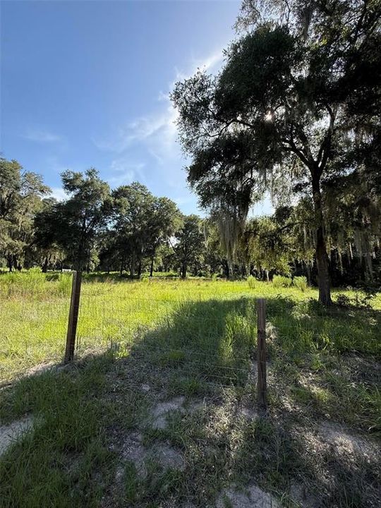 For Sale: $200,000 (5.00 acres)
