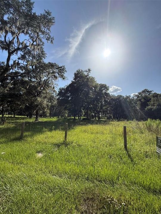 For Sale: $200,000 (5.00 acres)