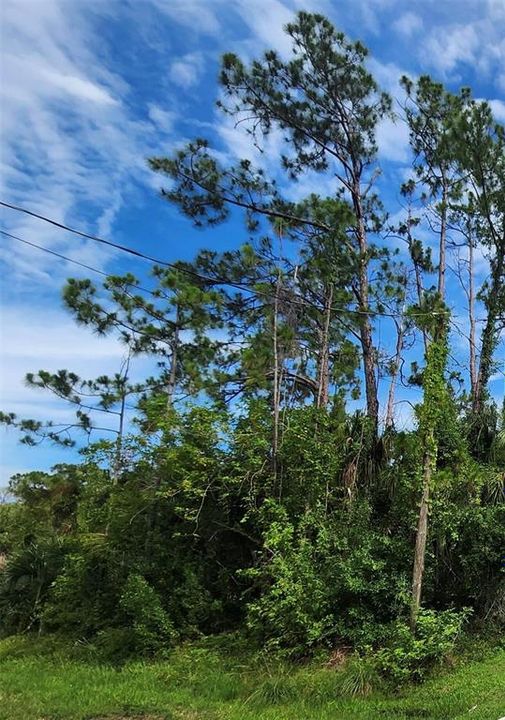 待售: $126,000 (0.69 acres)