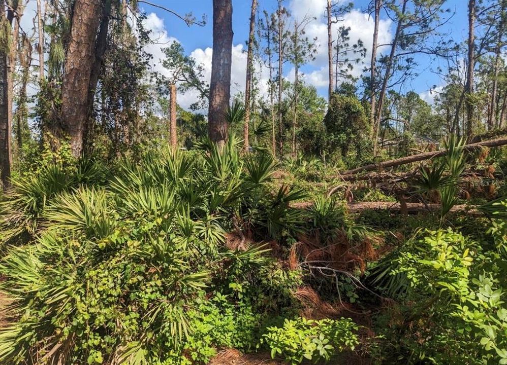待售: $126,000 (0.69 acres)