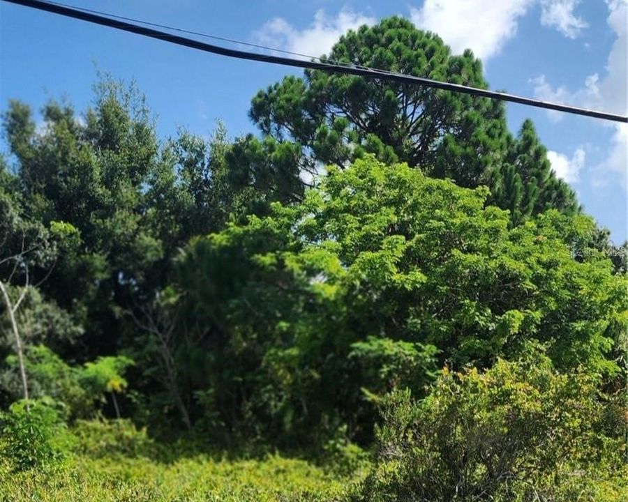 На продажу: $16,500 (0.18 acres)