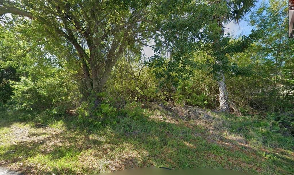 На продажу: $52,000 (0.46 acres)