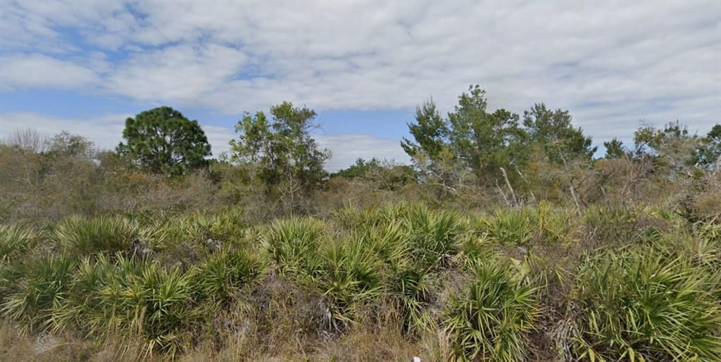 待售: $90,000 (0.46 acres)