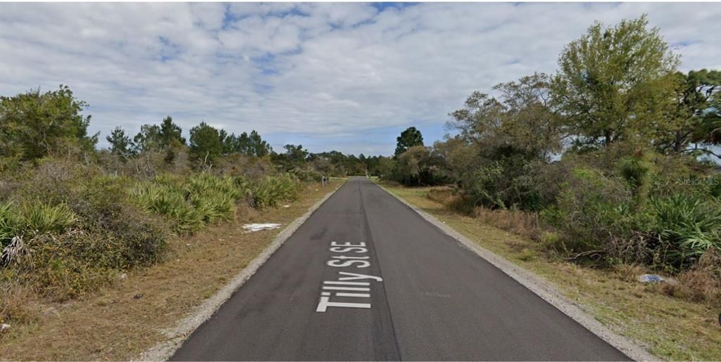 待售: $90,000 (0.46 acres)
