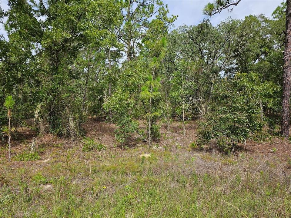 待售: $84,900 (1.16 acres)