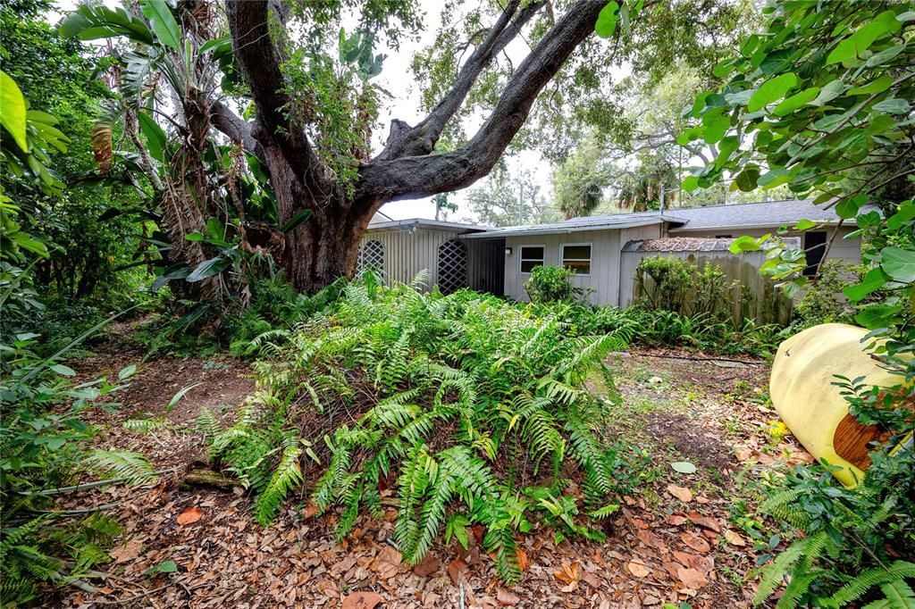 En Venta: $625,000 (3 camas, 2 baños, 1595 Pies cuadrados)