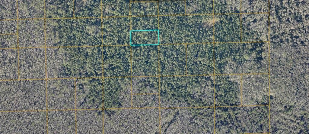 For Sale: $10,500 (1.25 acres)
