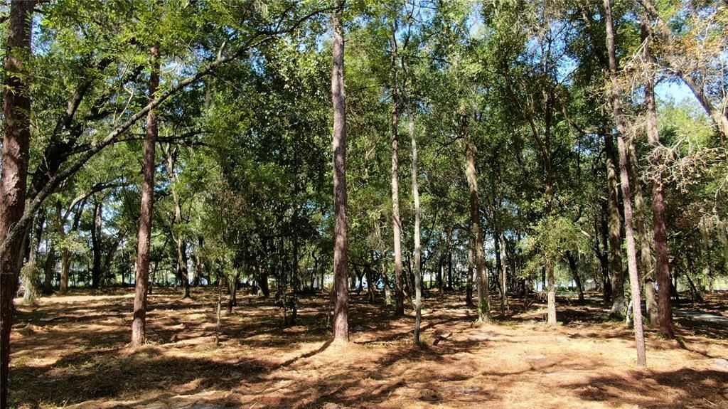 Active With Contract: $2,175,000 (7.13 acres)