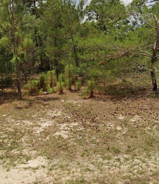 For Sale: $45,000 (0.23 acres)