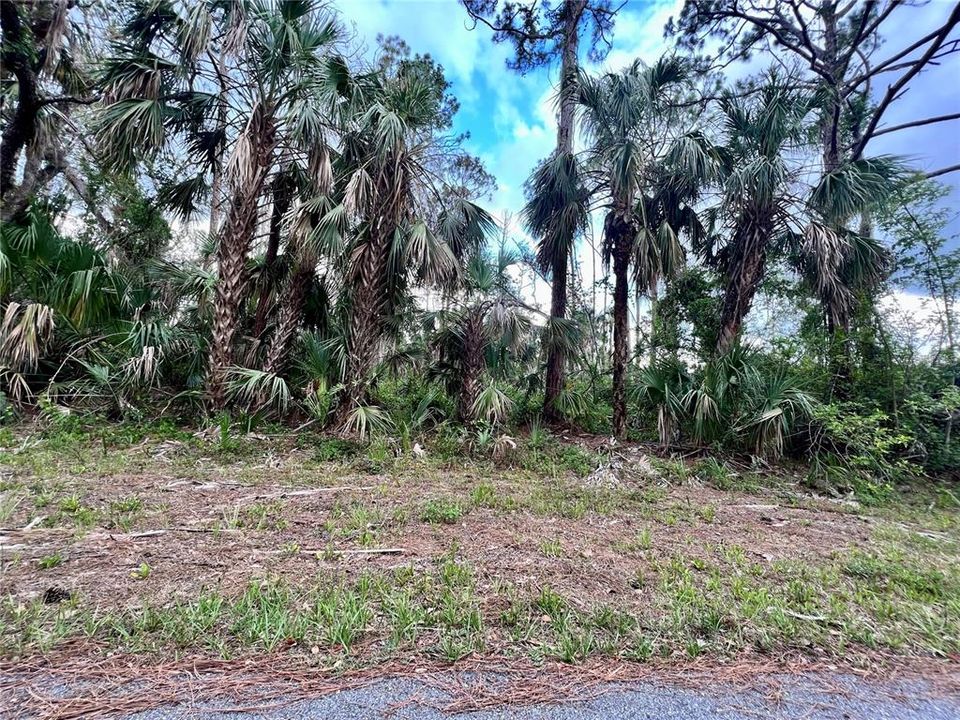 En Venta: $25,000 (0.23 acres)