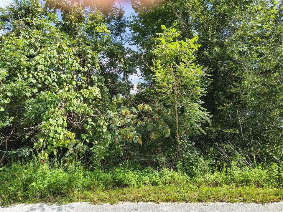 待售: $29,000 (0.17 acres)