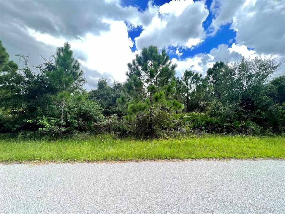 На продажу: $22,000 (0.23 acres)
