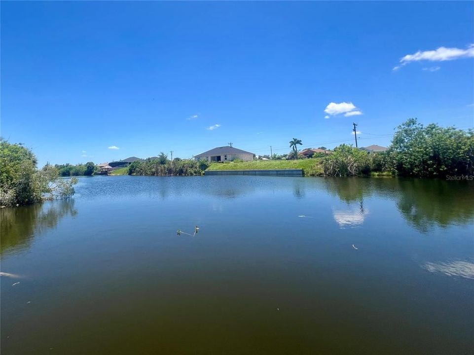 For Sale: $61,000 (0.23 acres)