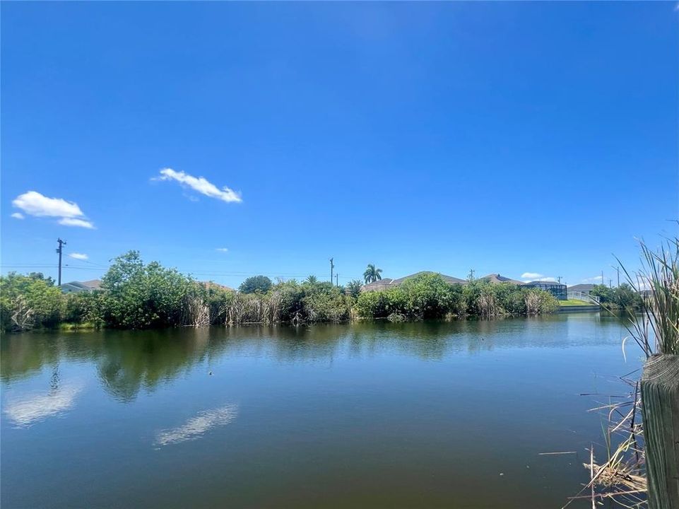 For Sale: $61,000 (0.23 acres)