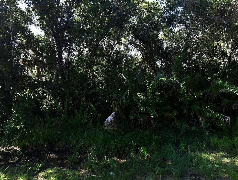 For Sale: $55,000 (0.46 acres)