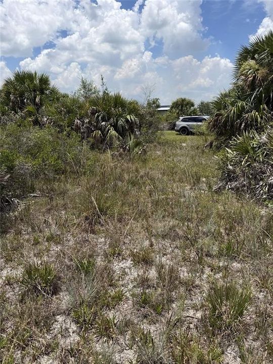 For Sale: $33,995 (1.25 acres)