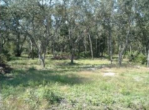 待售: $30,000 (0.47 acres)