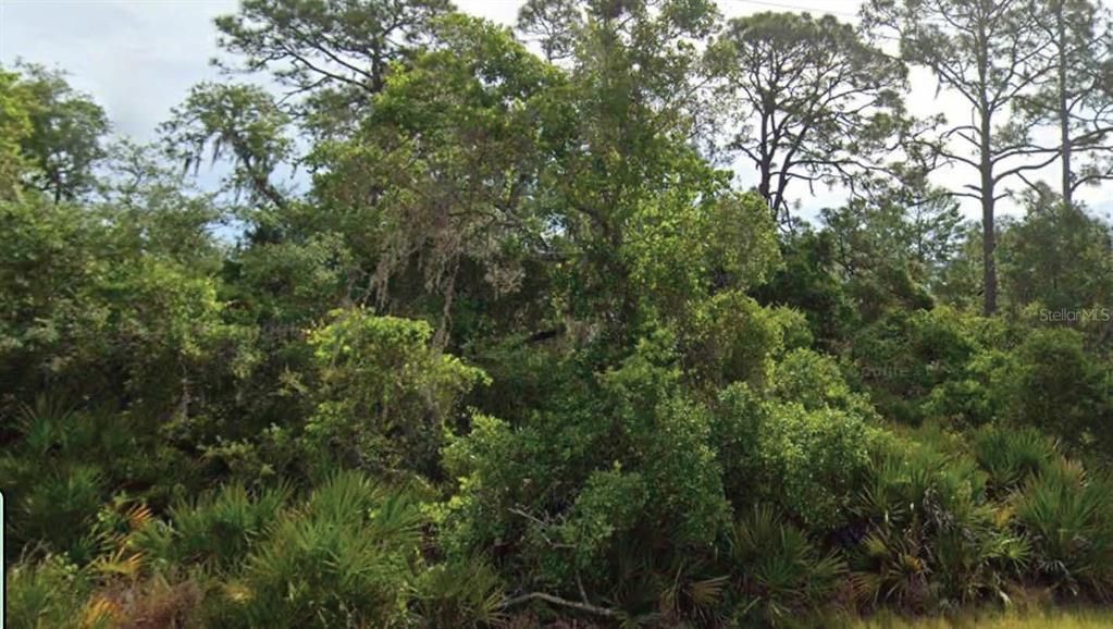 На продажу: $4,500 (0.23 acres)