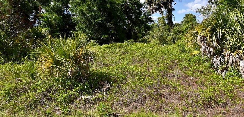 На продажу: $17,000 (0.33 acres)