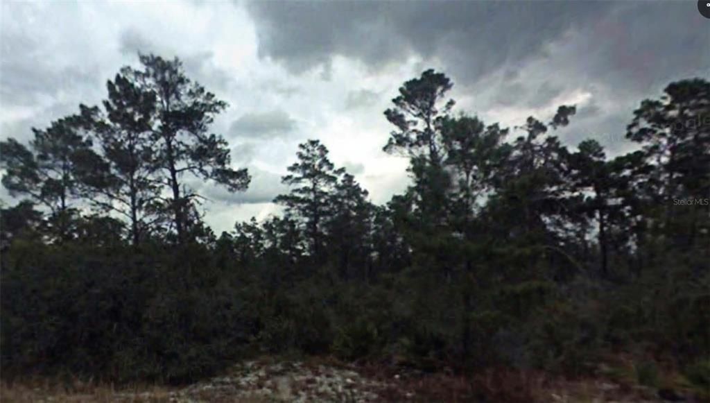 En Venta: $12,000 (0.23 acres)