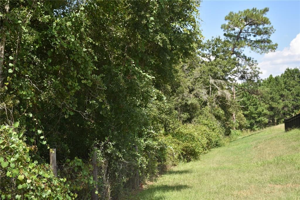 На продажу: $244,900 (5.90 acres)