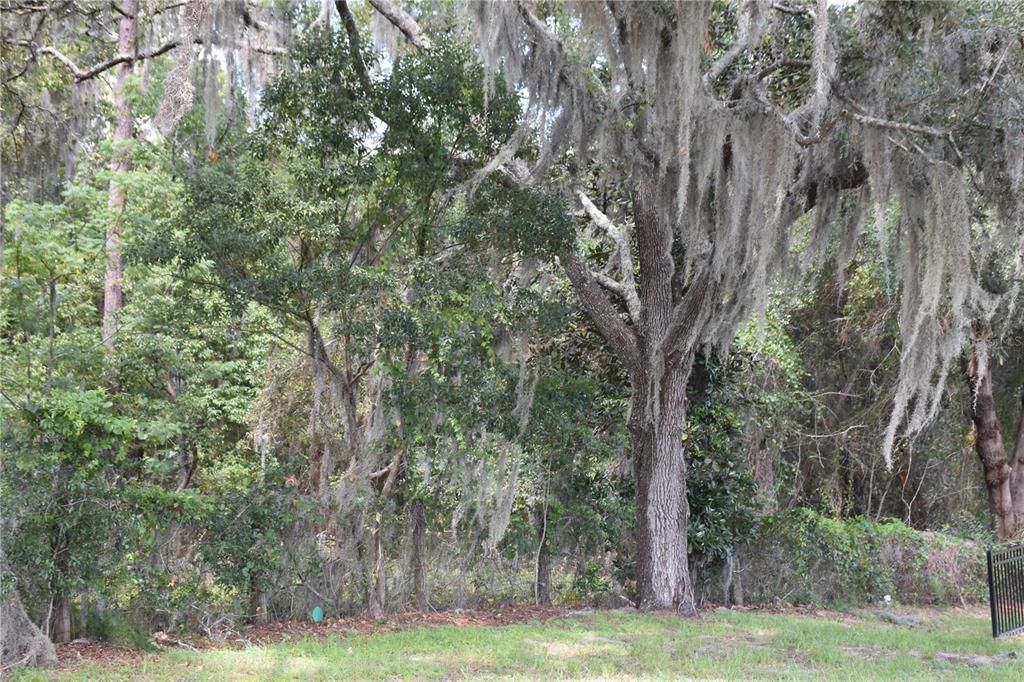 На продажу: $244,900 (5.90 acres)
