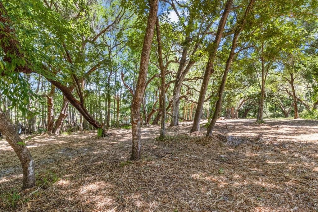 En Renta: $2,200 (3 camas, 2 baños, 1759 Pies cuadrados)