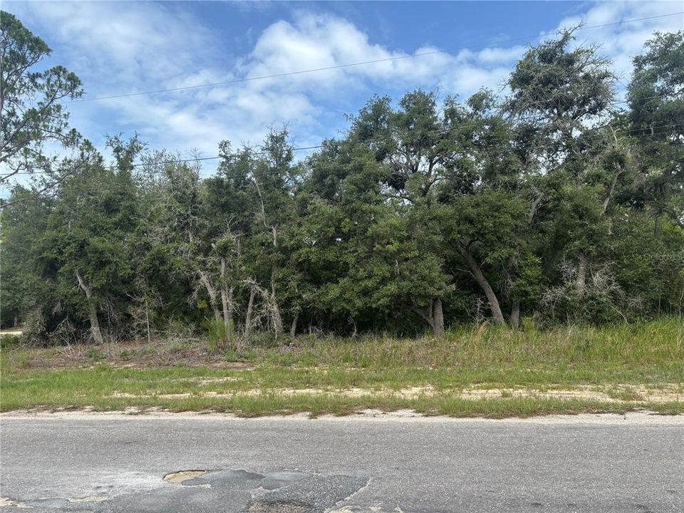 En Venta: $15,500 (0.29 acres)