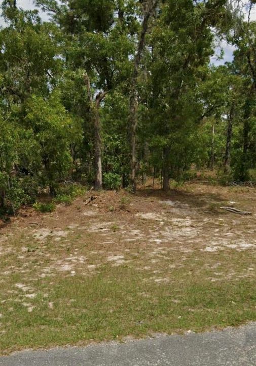 For Sale: $27,500 (0.24 acres)