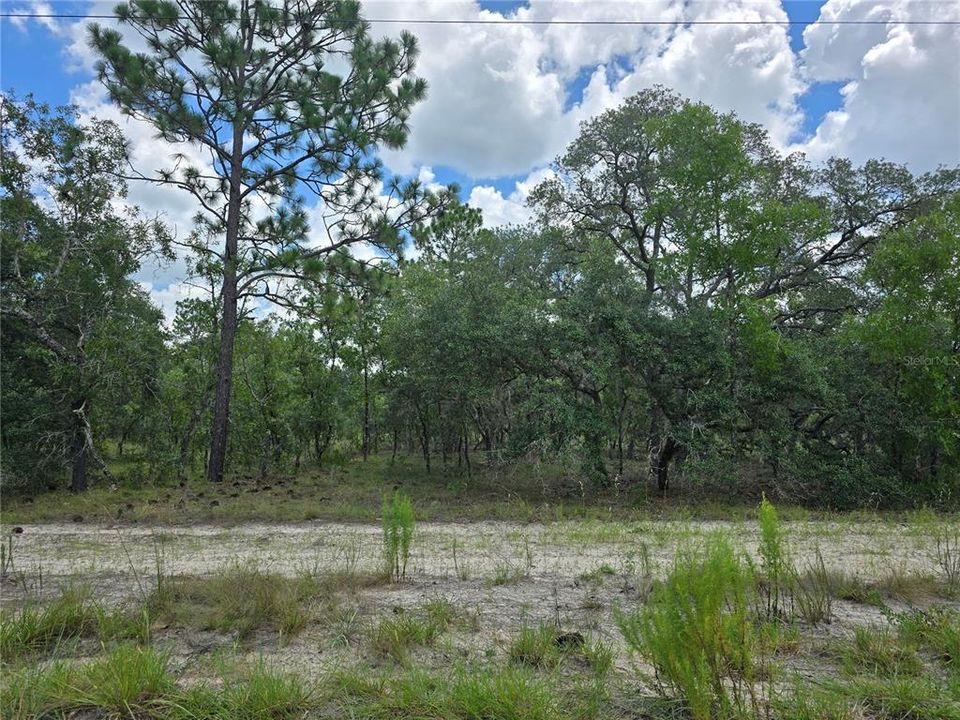 En Venta: $135,000 (10.00 acres)