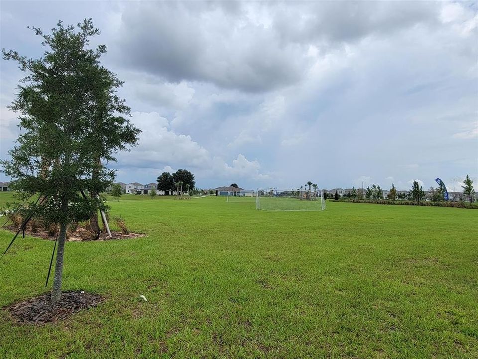 For Rent: $2,300 (3 beds, 2 baths, 1444 Square Feet)