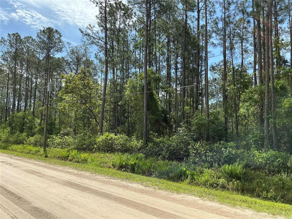 For Sale: $24,000 (1.14 acres)