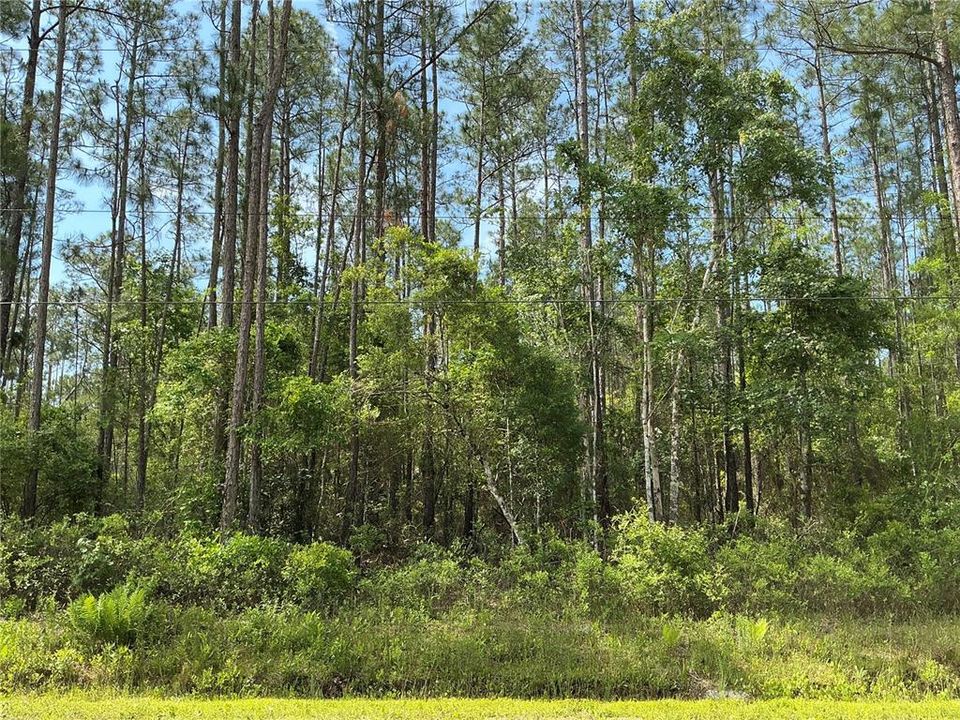 For Sale: $24,000 (1.14 acres)
