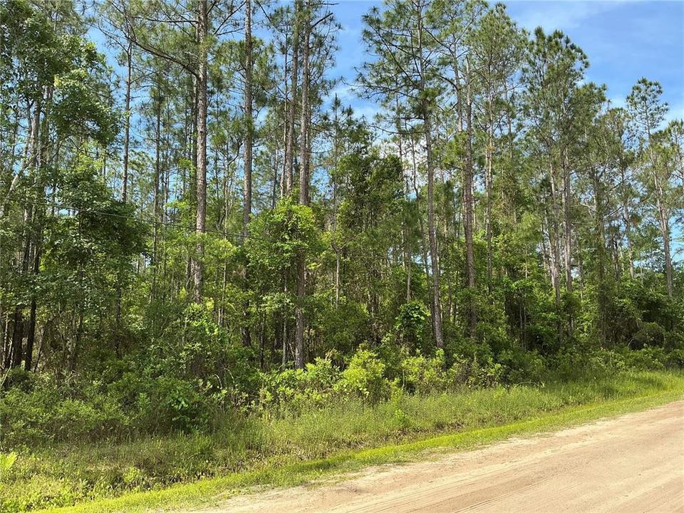 For Sale: $24,000 (1.14 acres)