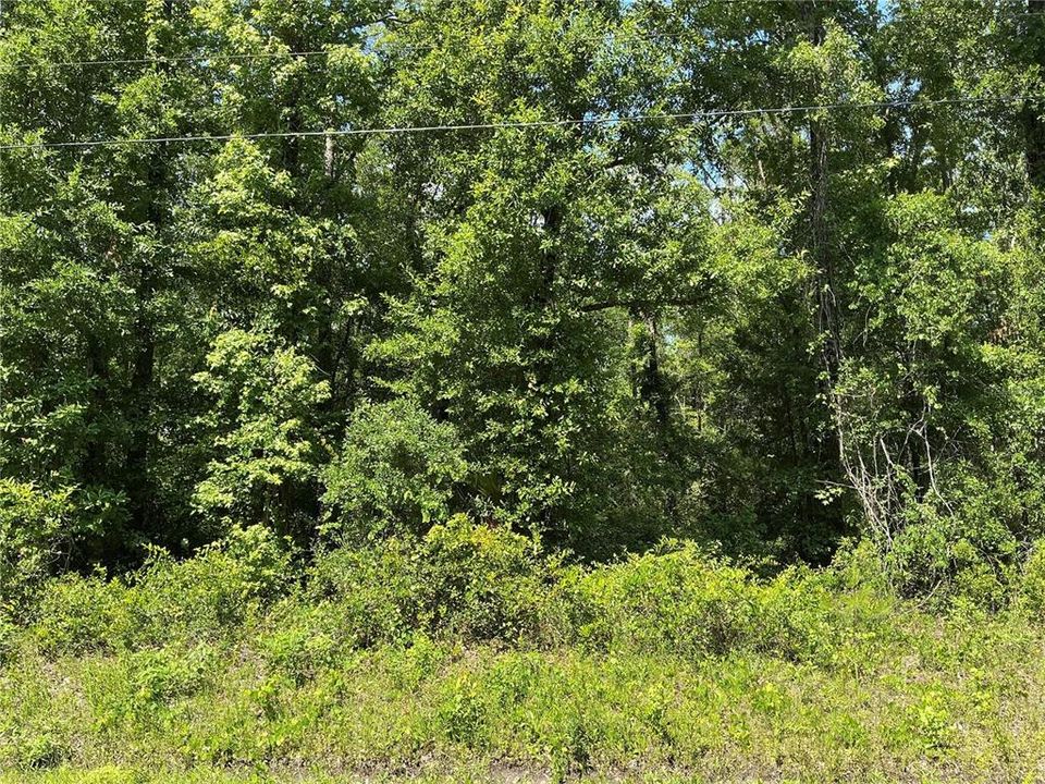 For Sale: $23,000 (1.14 acres)