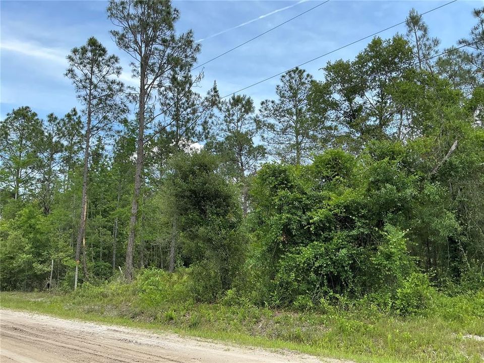 待售: $22,000 (0.93 acres)