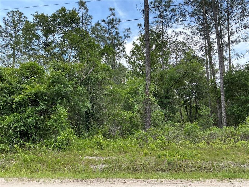 待售: $22,000 (0.93 acres)