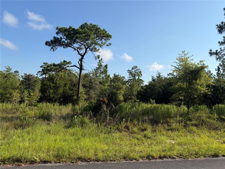 На продажу: $79,995 (4.90 acres)