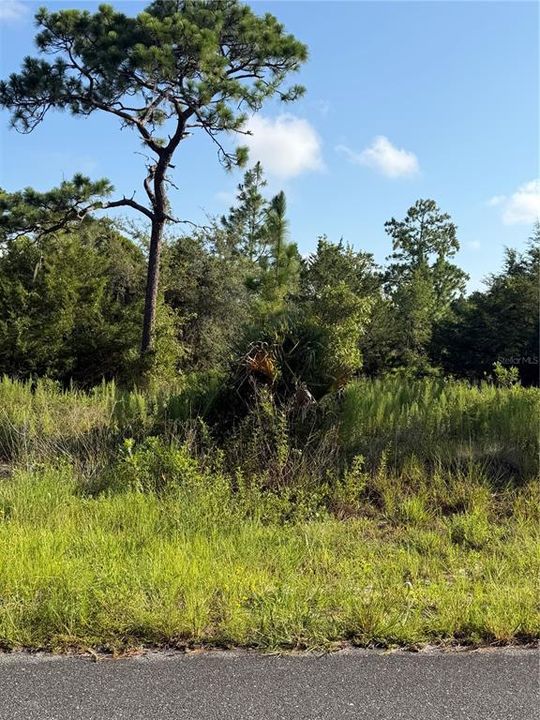 На продажу: $79,995 (4.90 acres)