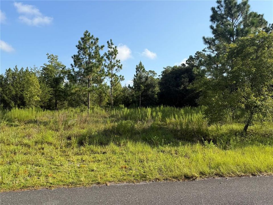 На продажу: $79,995 (4.90 acres)