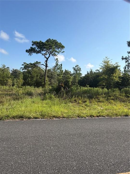 На продажу: $79,995 (4.90 acres)