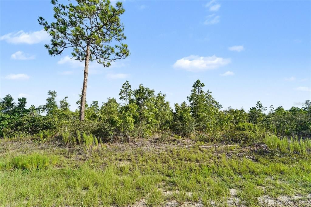На продажу: $42,000 (0.46 acres)