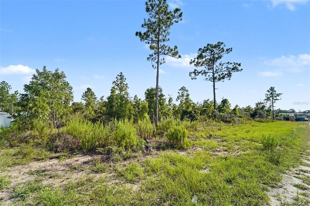 На продажу: $42,000 (0.46 acres)