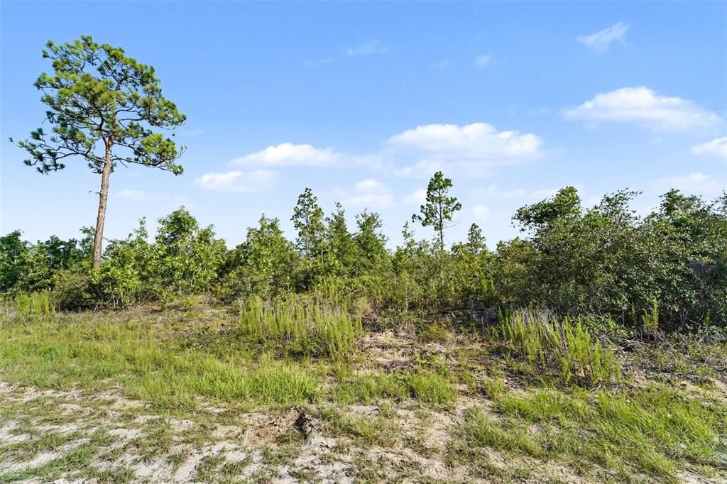 На продажу: $42,000 (0.46 acres)