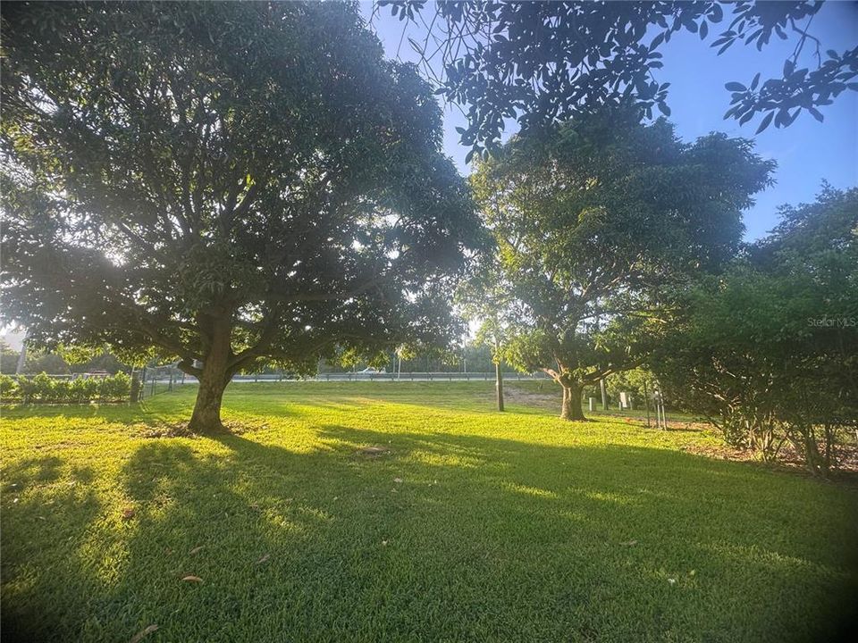 En Venta: $350,000 (2 camas, 2 baños, 1055 Pies cuadrados)