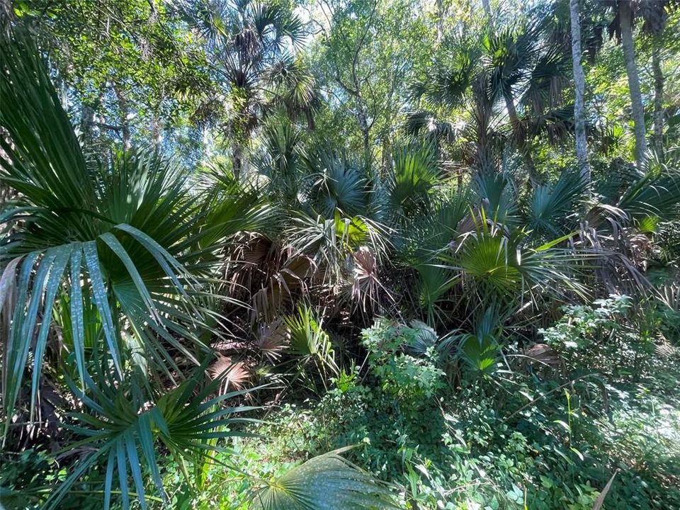 На продажу: $180,000 (2.10 acres)